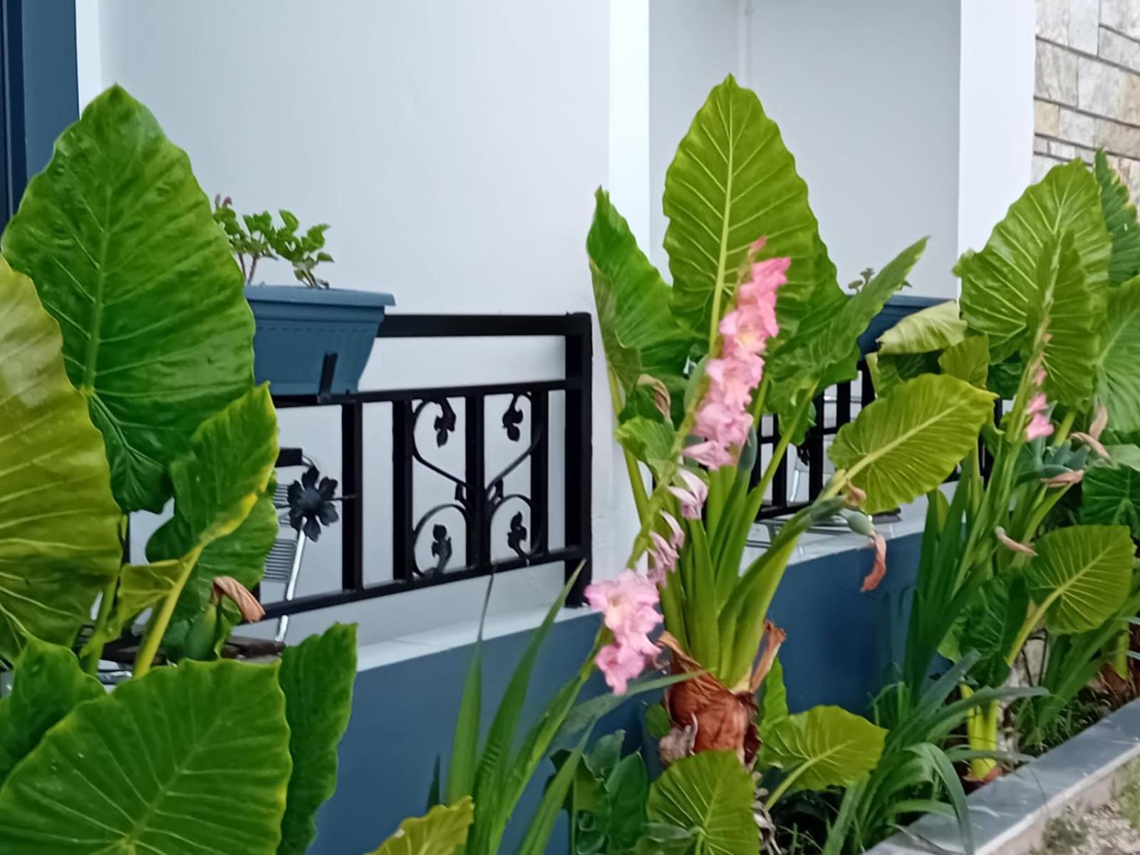 Villa Allkushi Sarandë Buitenkant foto