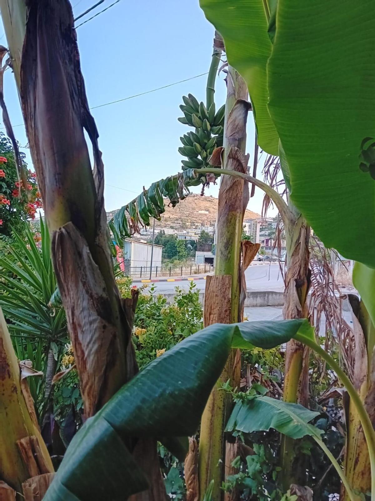 Villa Allkushi Sarandë Buitenkant foto